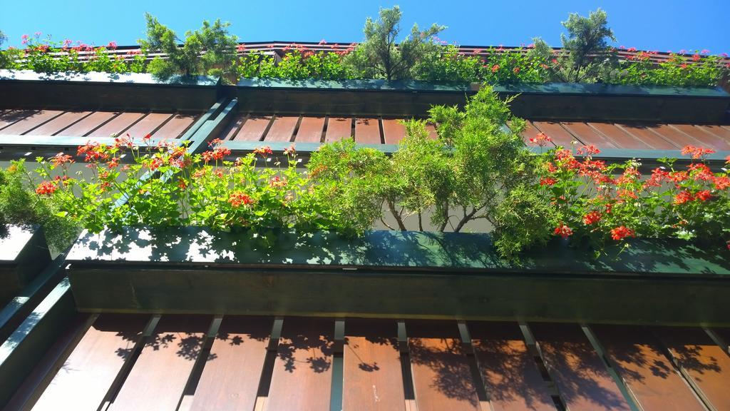 La Felce Bed & Breakfast Carisolo Luaran gambar
